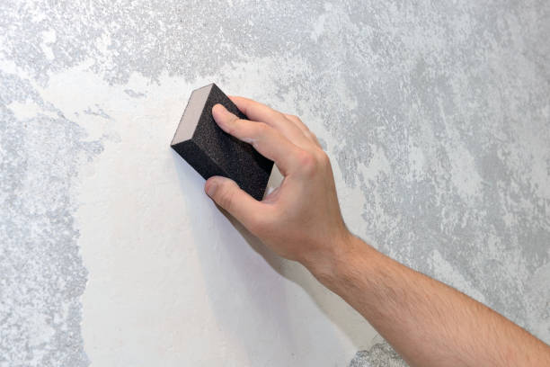 Best Mold Damage Restoration  in East Marion, NY