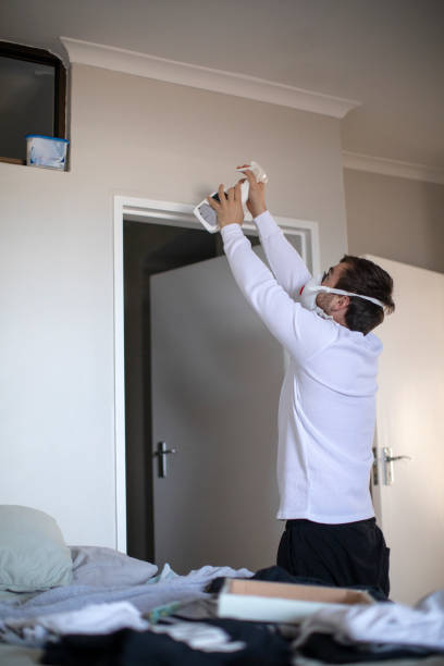 Best Real Estate Mold Inspection  in East Marion, NY