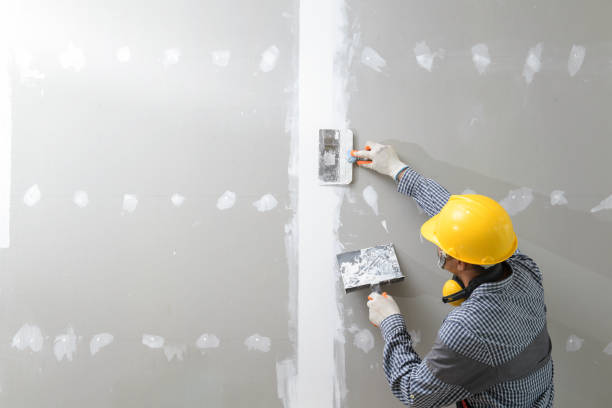 Best Mold Removal for HVAC Installations  in East Marion, NY