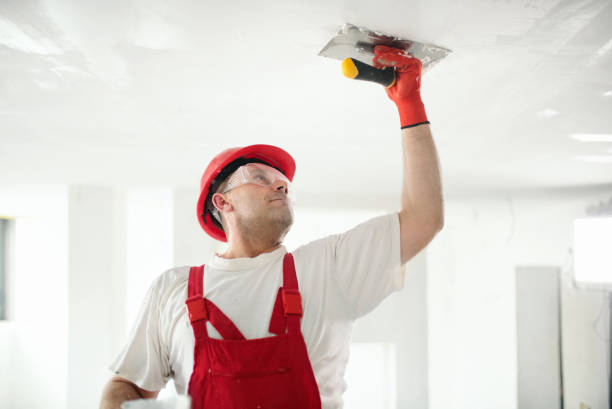 Best Mold Odor Removal Services  in East Marion, NY