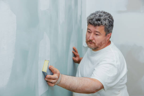 Professional Mold Removal in East Marion, NY