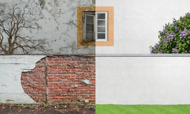 Best Mold Remediation for Rental Properties  in East Marion, NY