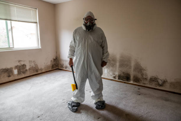 Best Airborne Mold Testing  in East Marion, NY