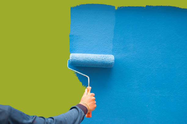 Best Black Mold Removal  in East Marion, NY